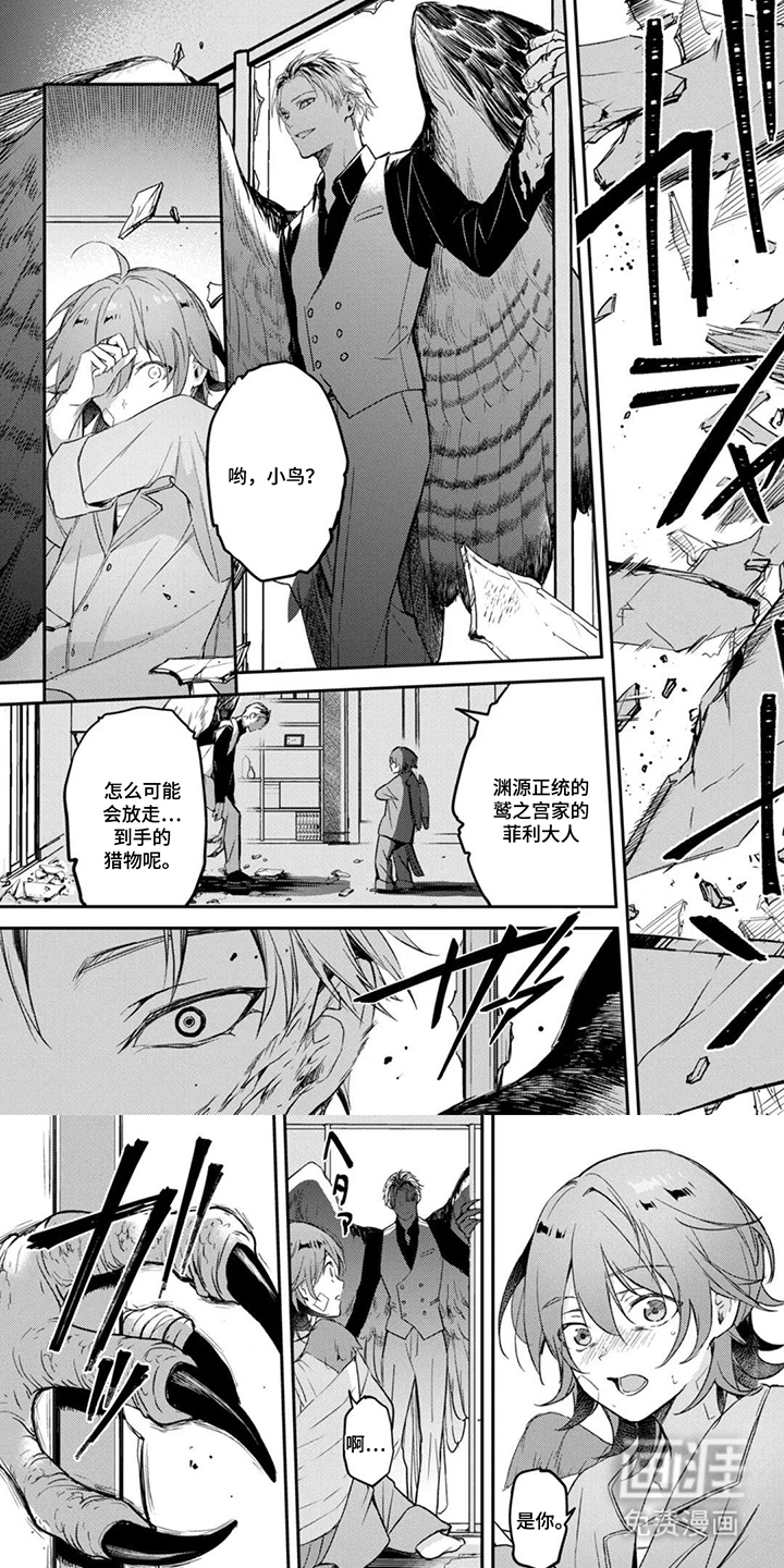 幸福的蓝鸟漫画-图0