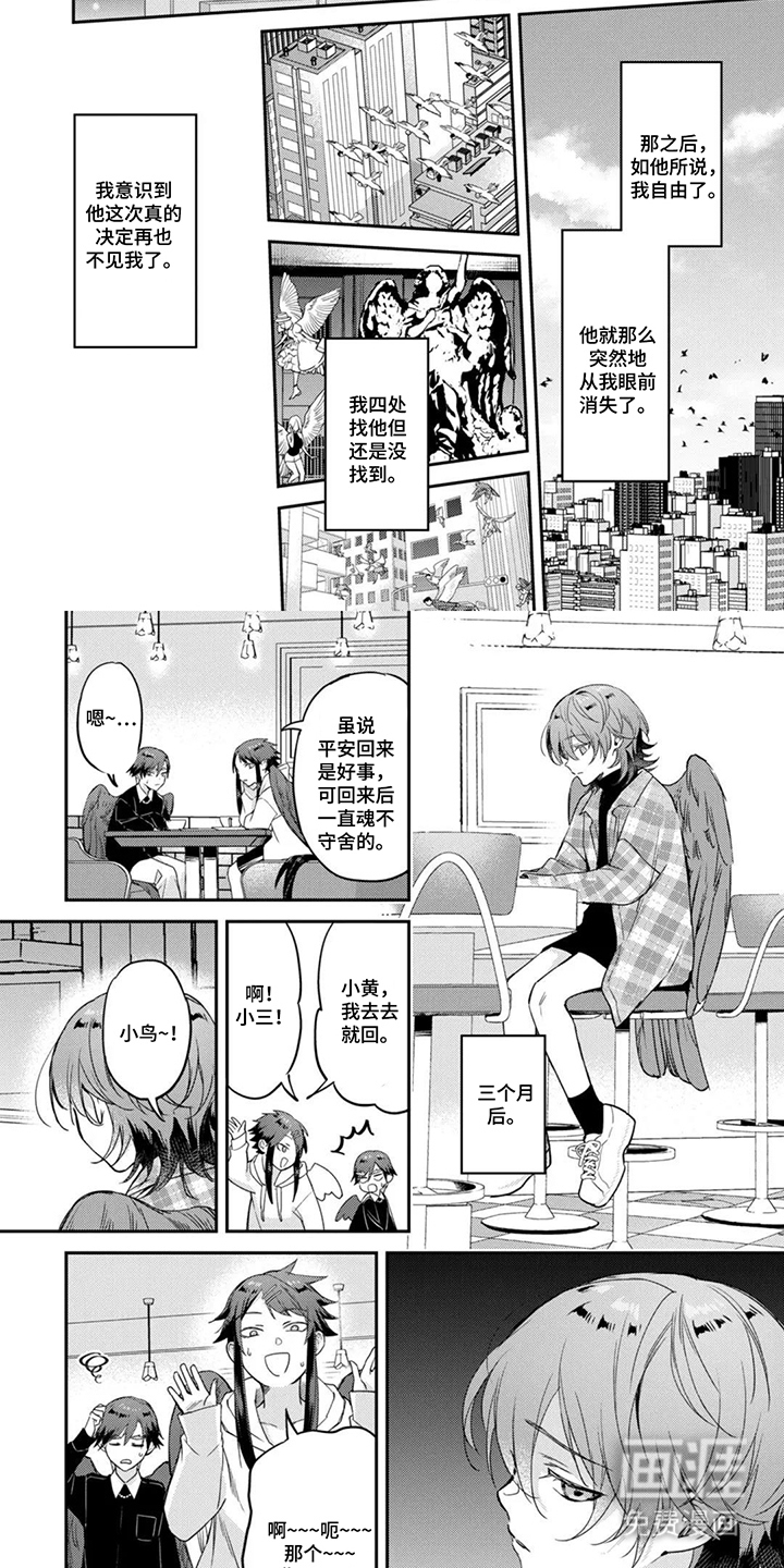 幸福的蓝鸟漫画-图6