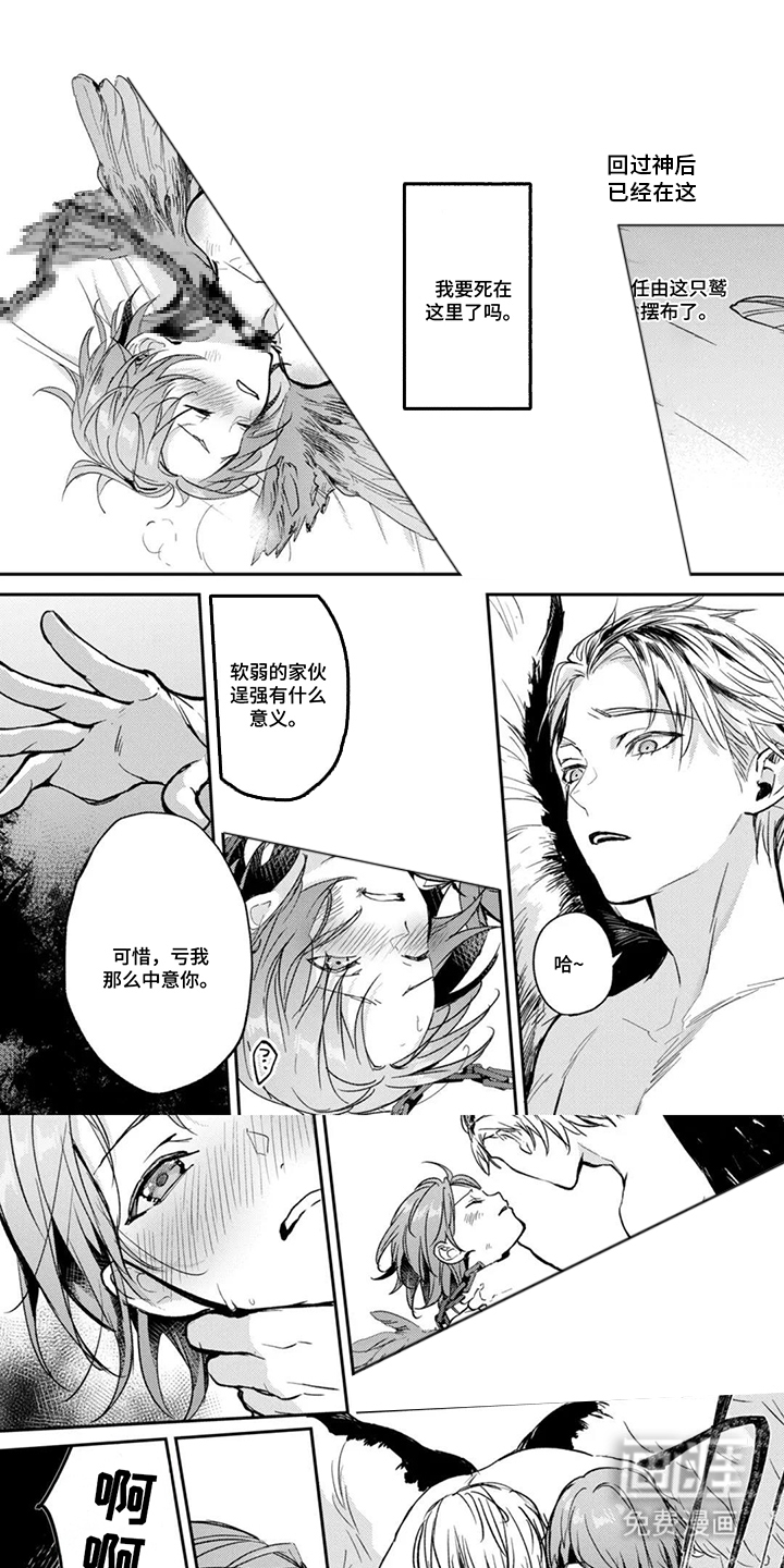 幸福的蓝鸟漫画-图0