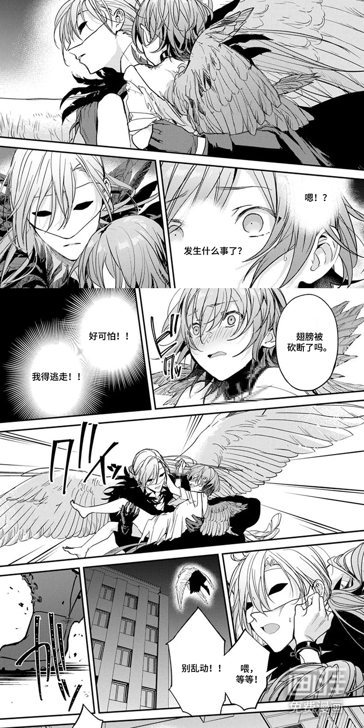 幸福的蓝鸟漫画-图6