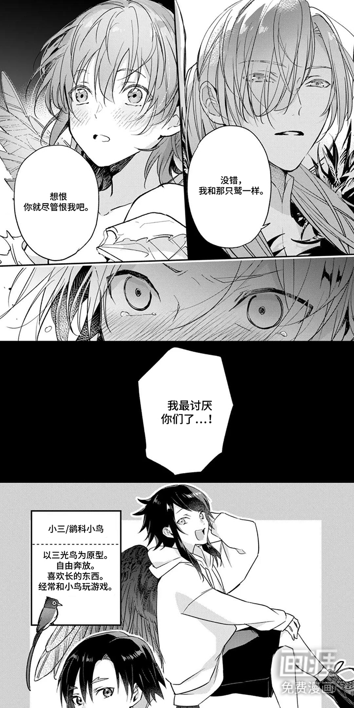 幸福的蓝鸟漫画-图5