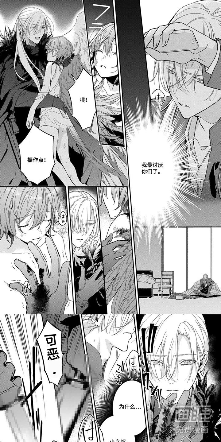 幸福的蓝鸟漫画-图0