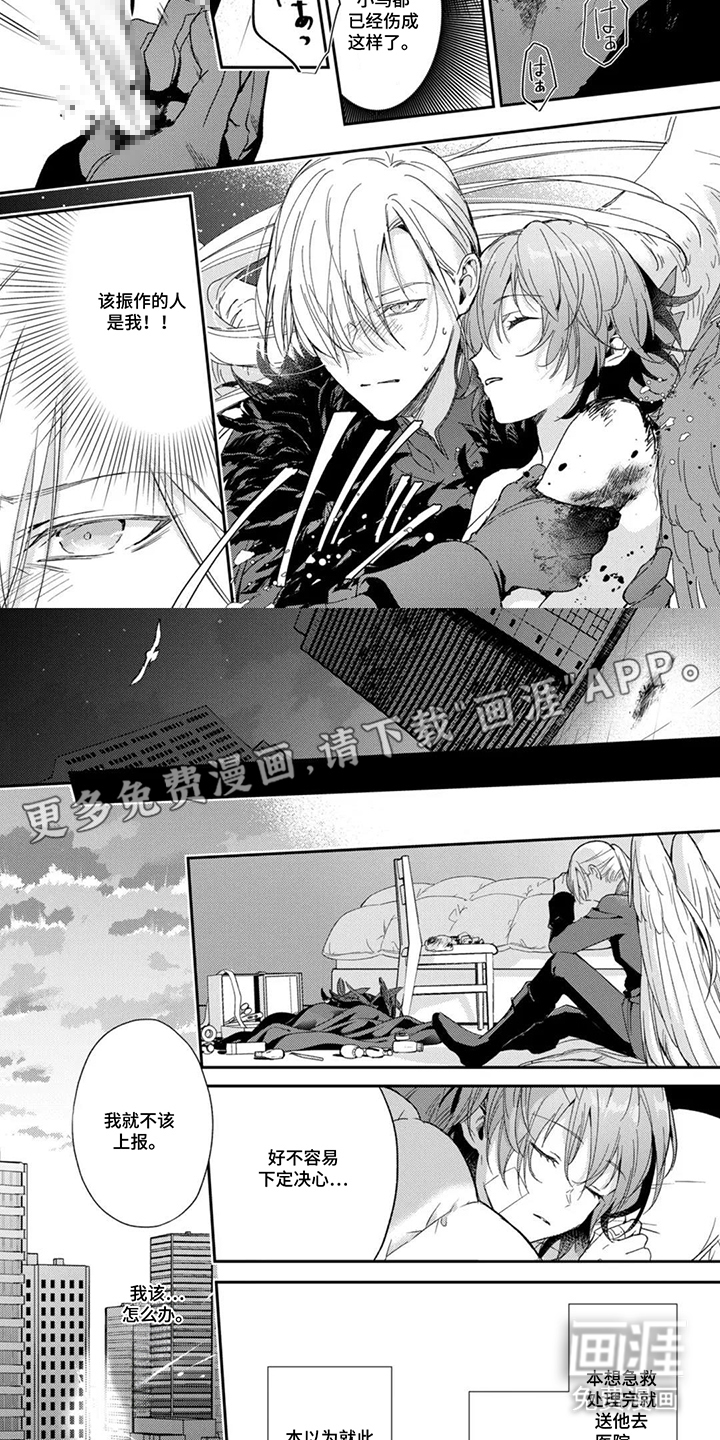 幸福的蓝鸟漫画-图1