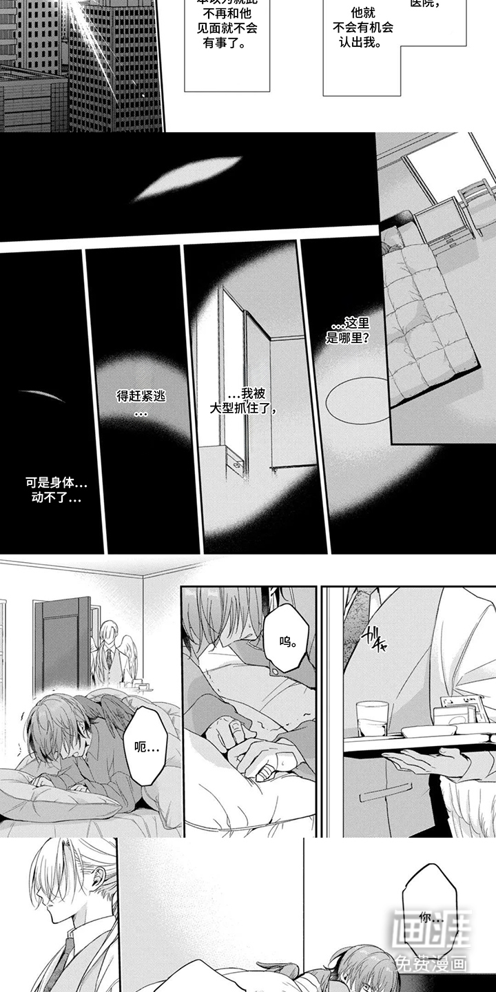幸福的蓝鸟漫画-图2