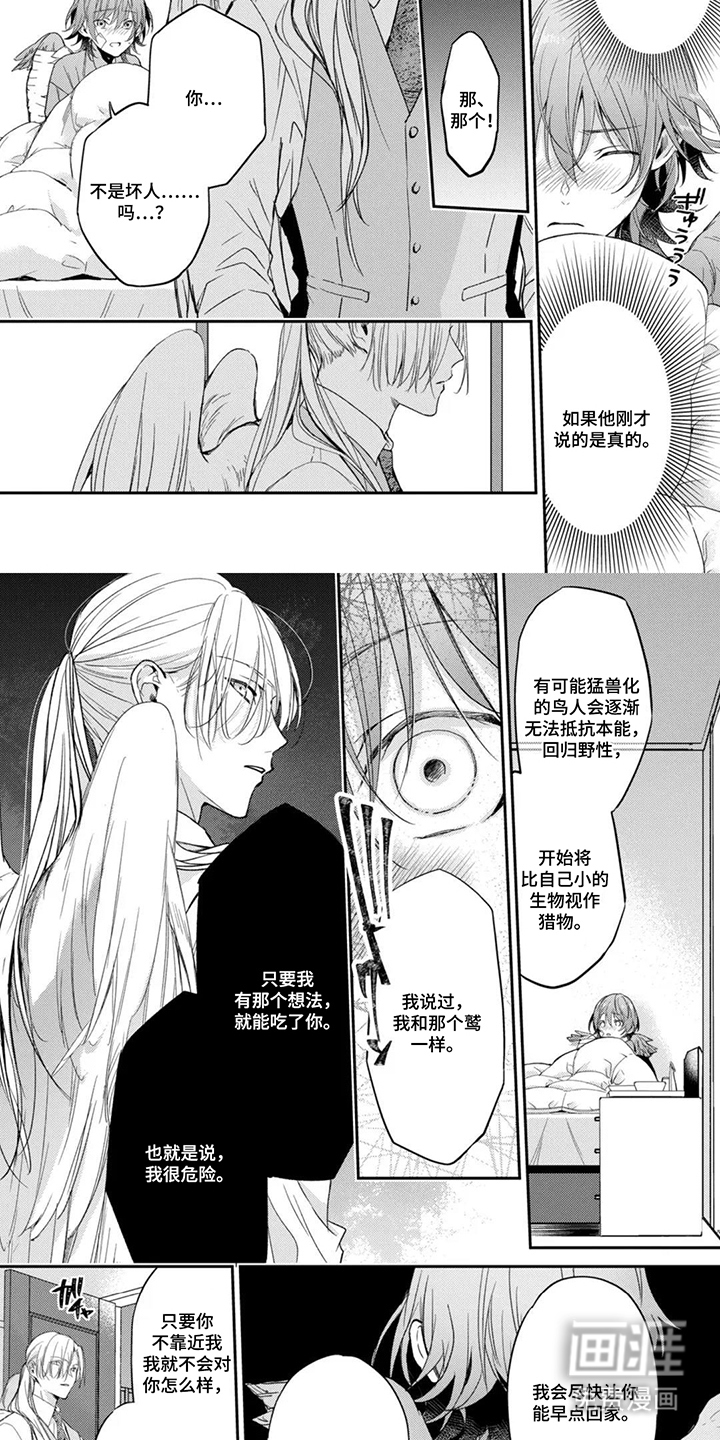 幸福的蓝鸟漫画-图6