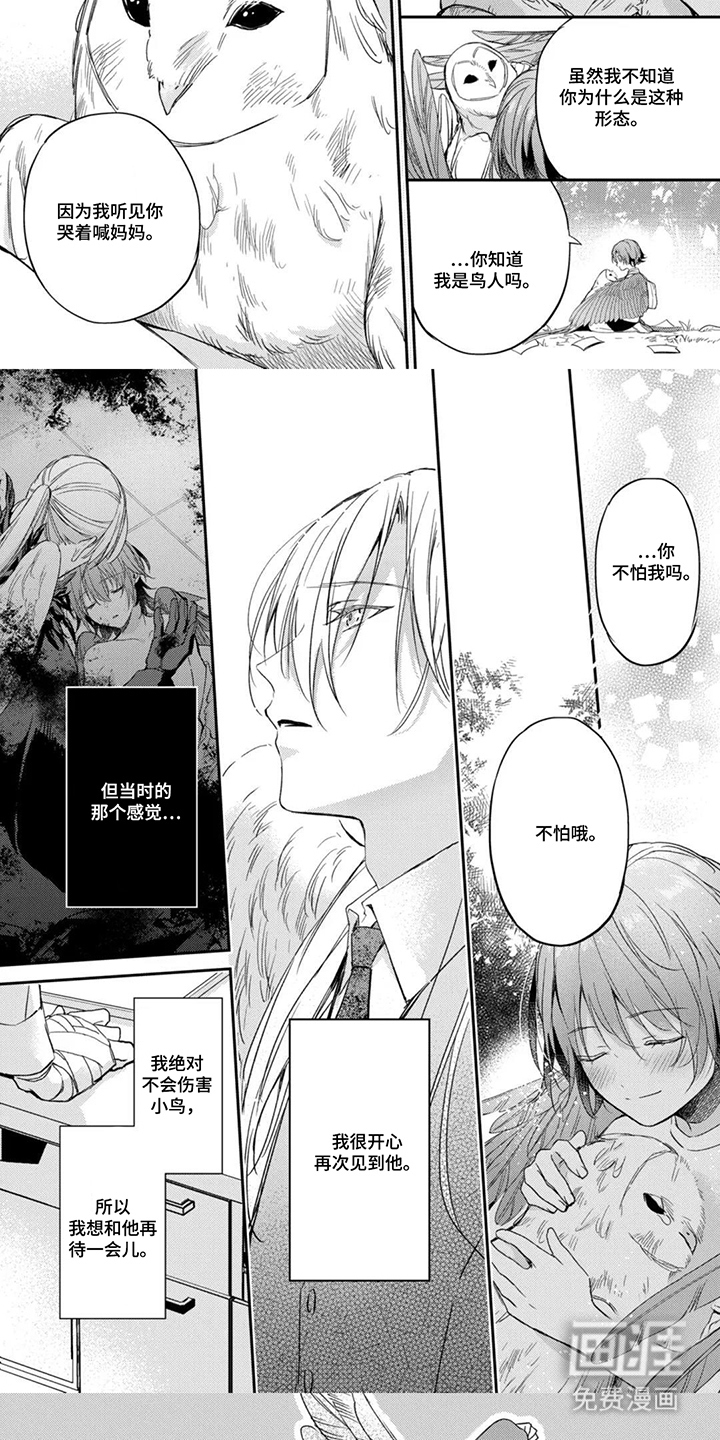幸福的蓝鸟漫画-图4