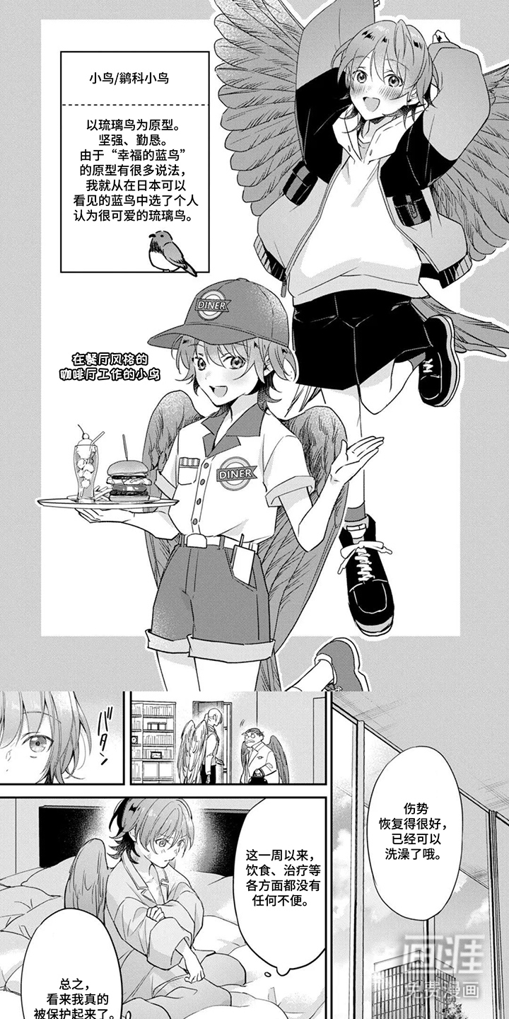 幸福的蓝鸟漫画-图5