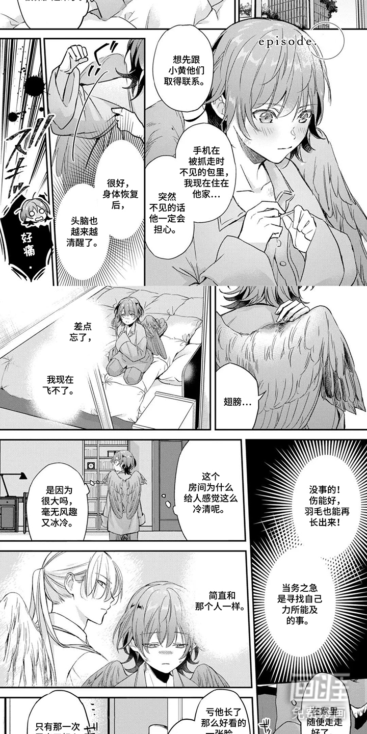 幸福的蓝鸟漫画-图6