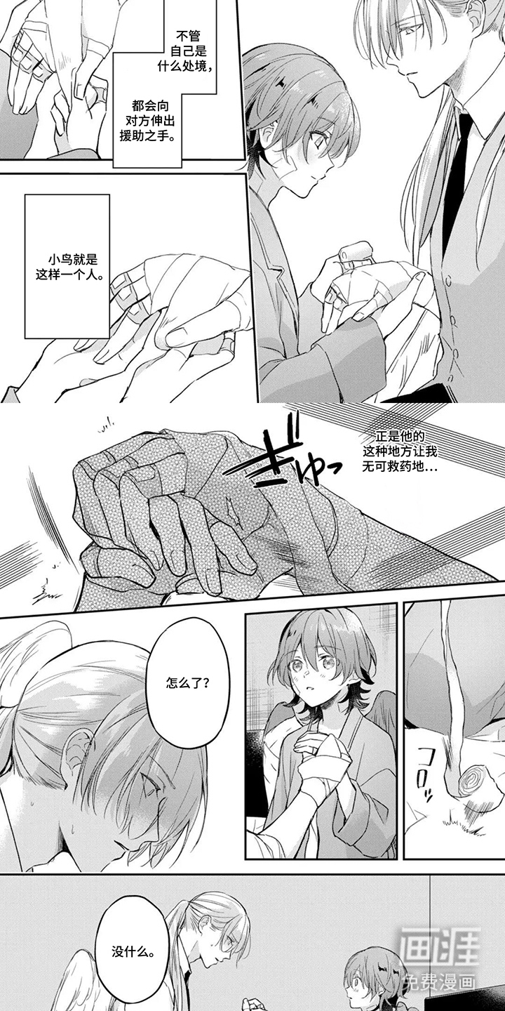 幸福的蓝鸟漫画-图6