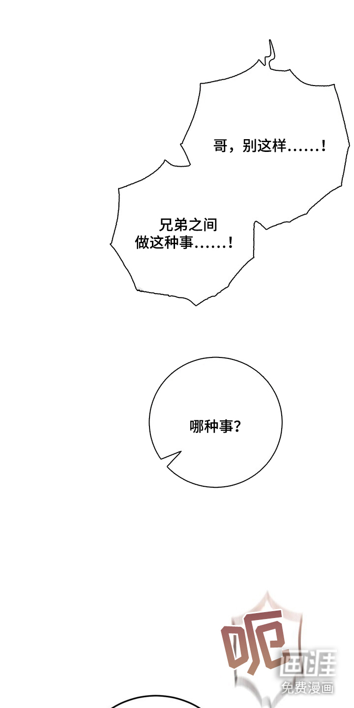 兄弟囚笼漫画-图13