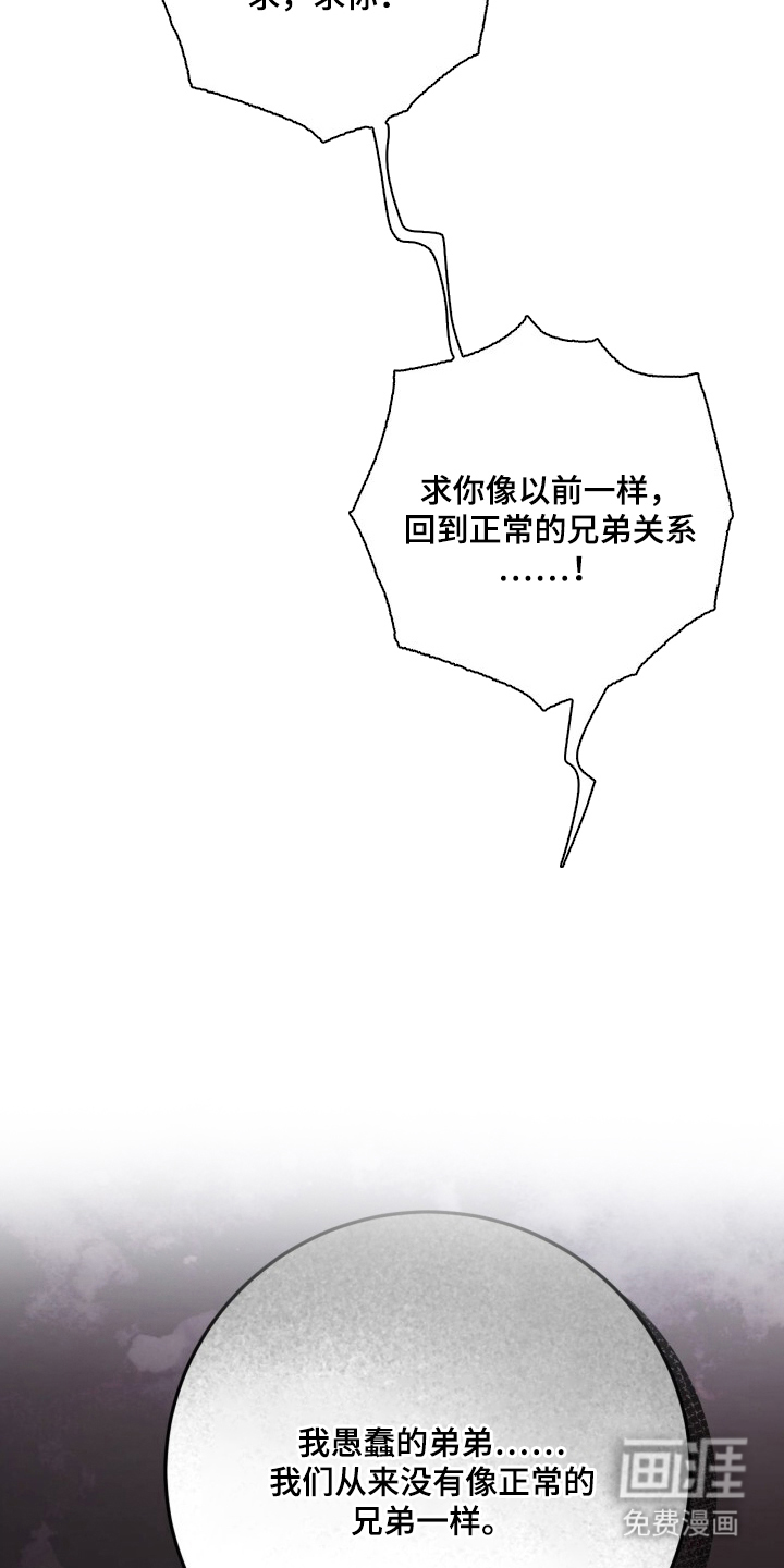 兄弟囚笼漫画-图20