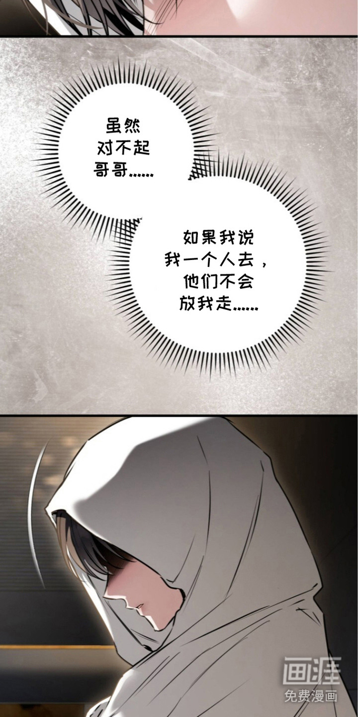 兄弟囚笼漫画-图12