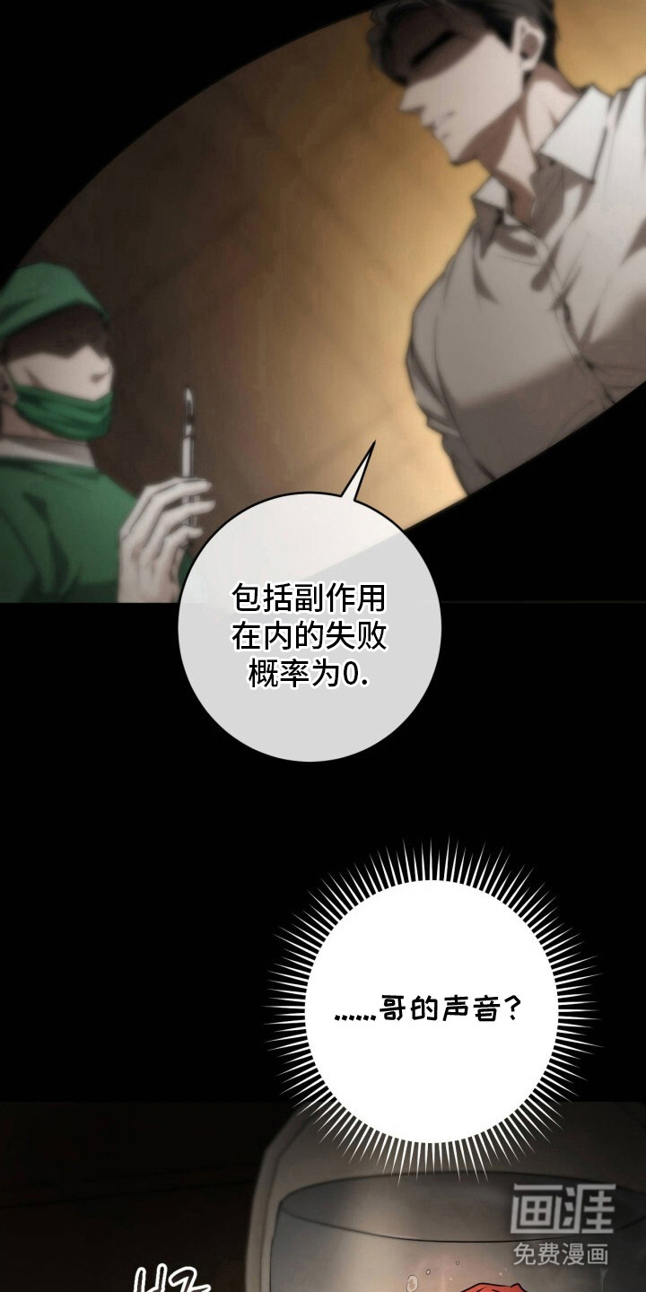 兄弟囚笼漫画-图17