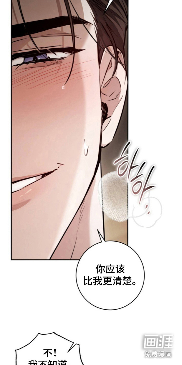 兄弟囚笼漫画-图12