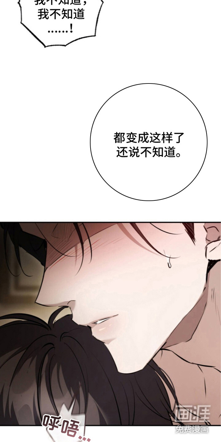 兄弟囚笼漫画-图13