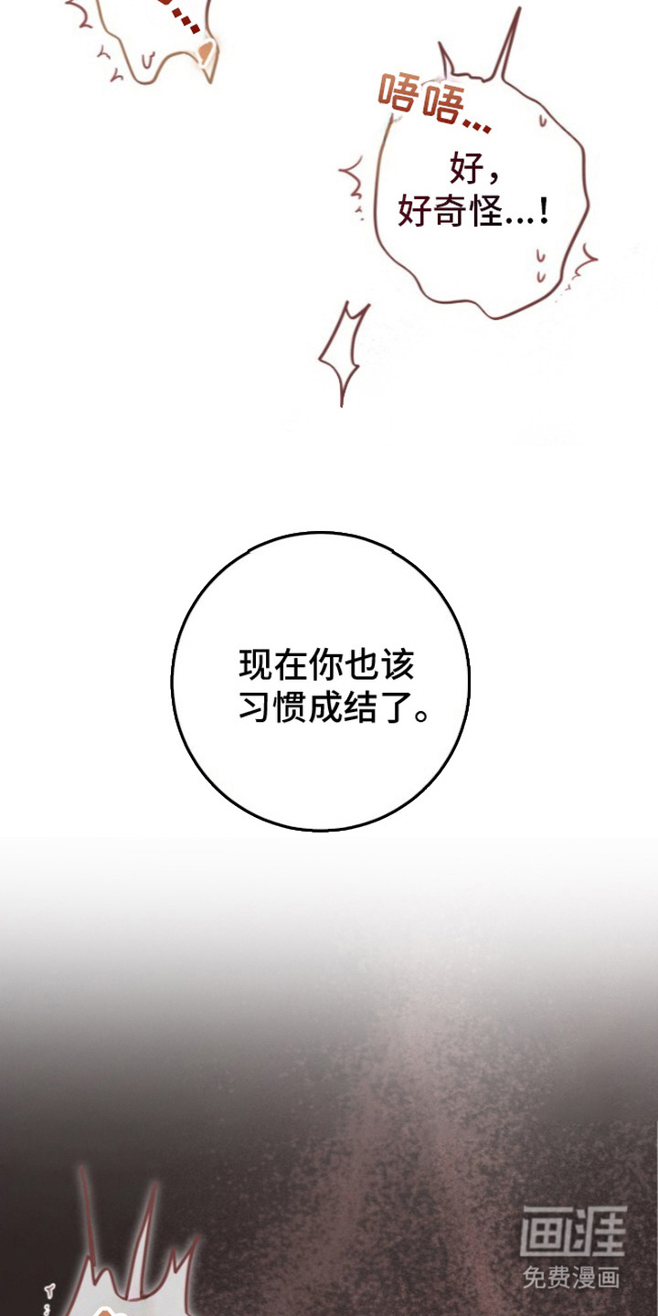 兄弟囚笼漫画-图19