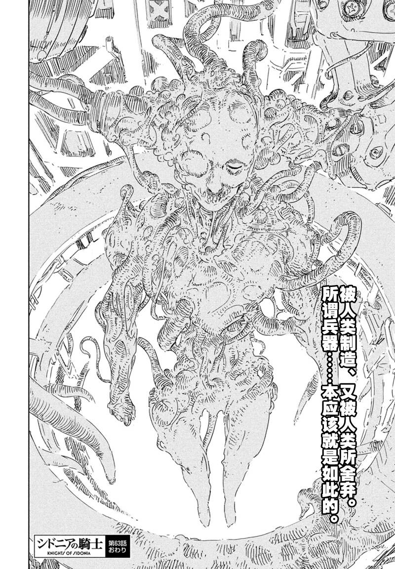 希德尼娅的骑士第63话图