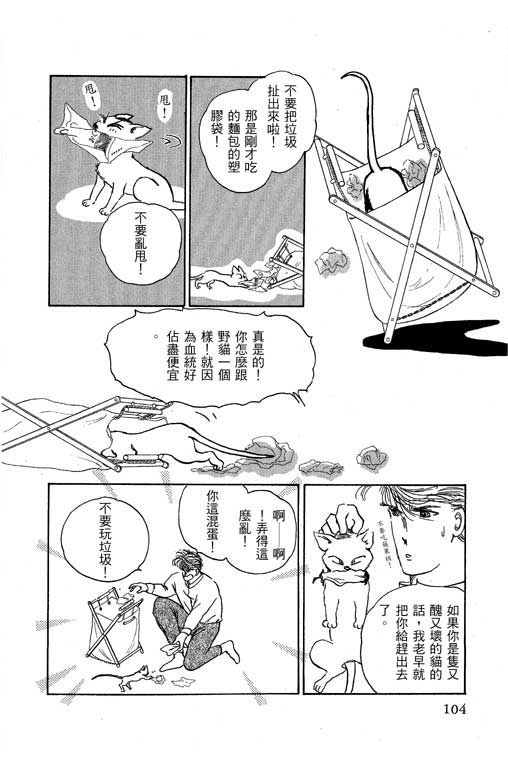 幸福的结婚第4卷图