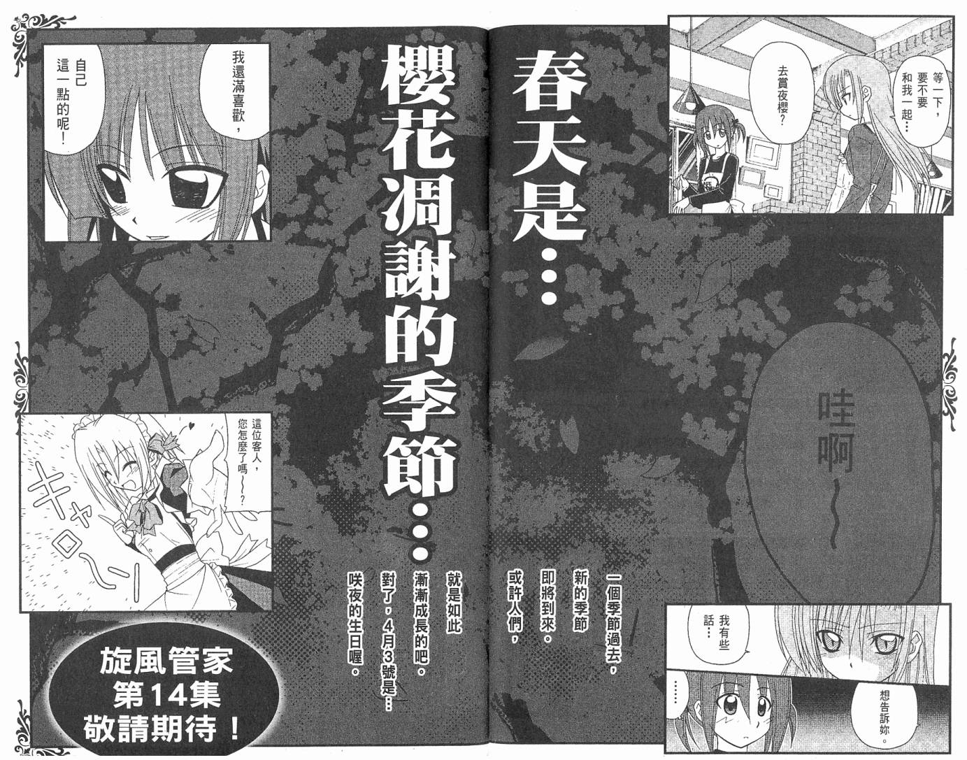 旋风管家第13卷图