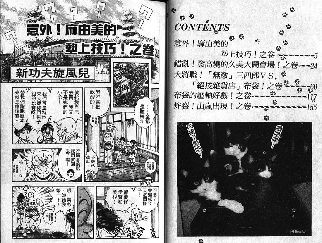 新功夫旋风儿第10卷图