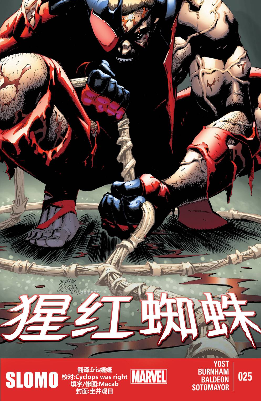 猩红蜘蛛第25卷图