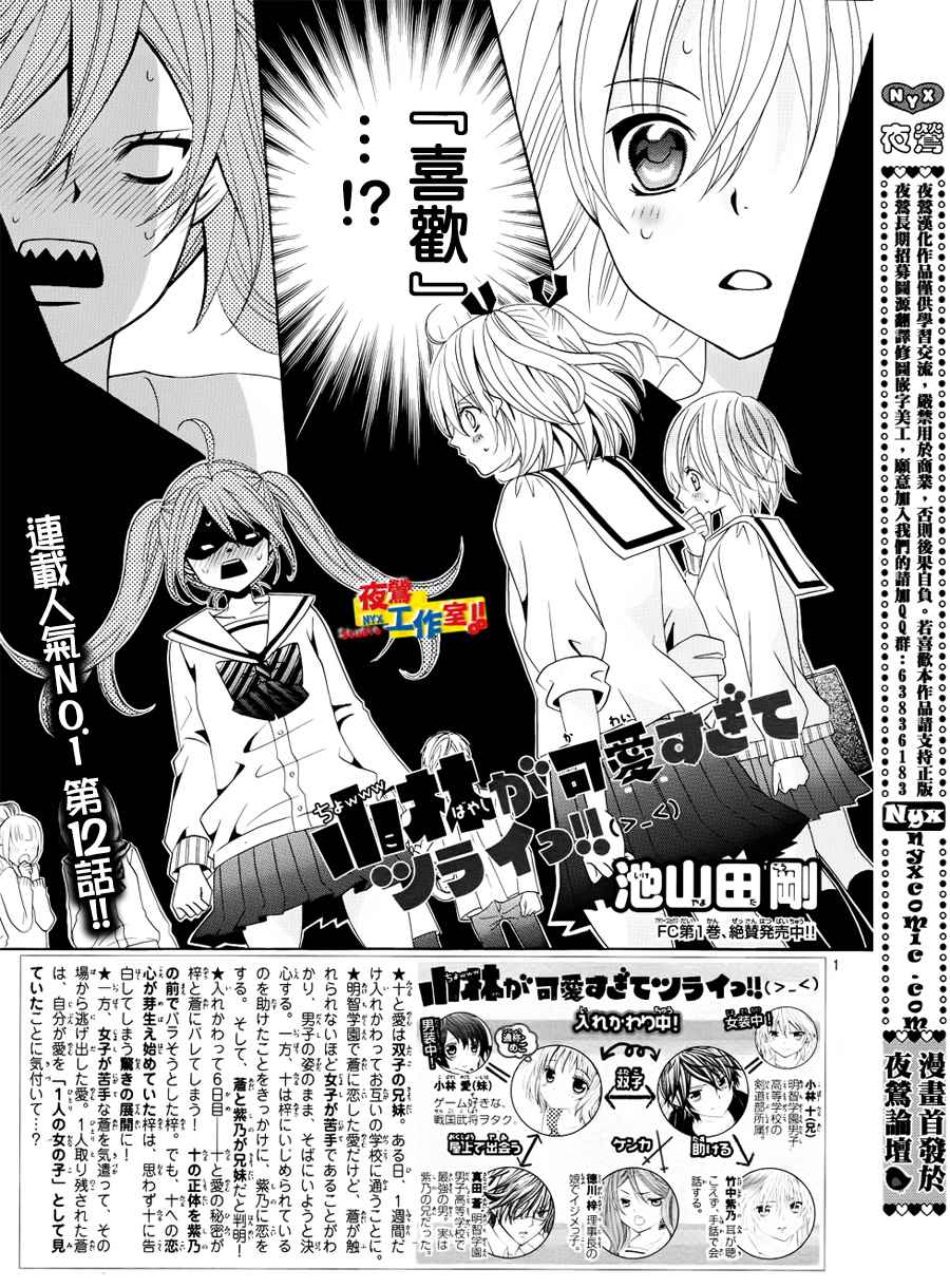 小林可爱到爆！第12话图