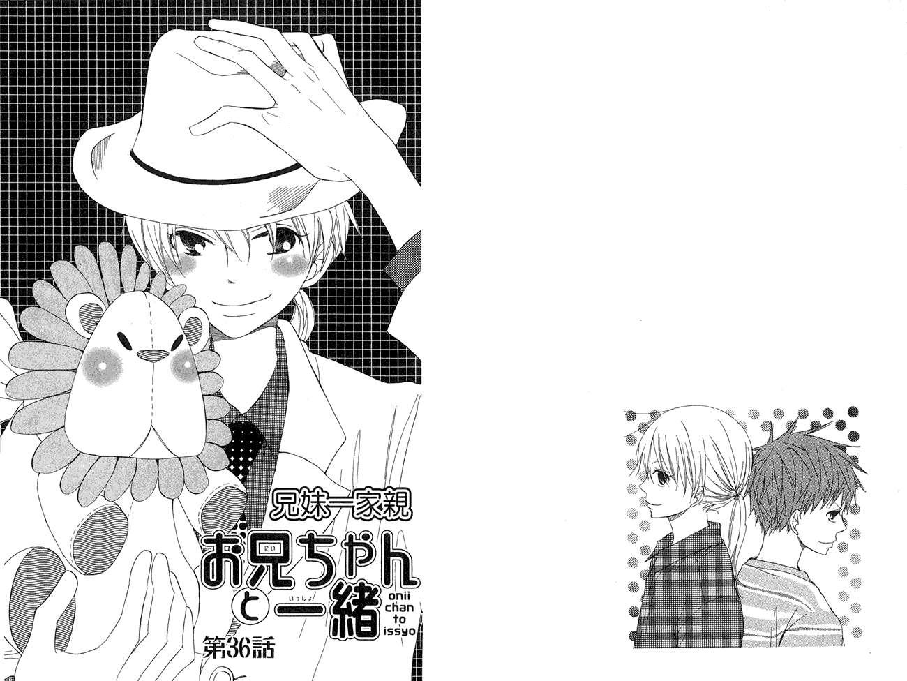 兄妹一家亲第8卷图