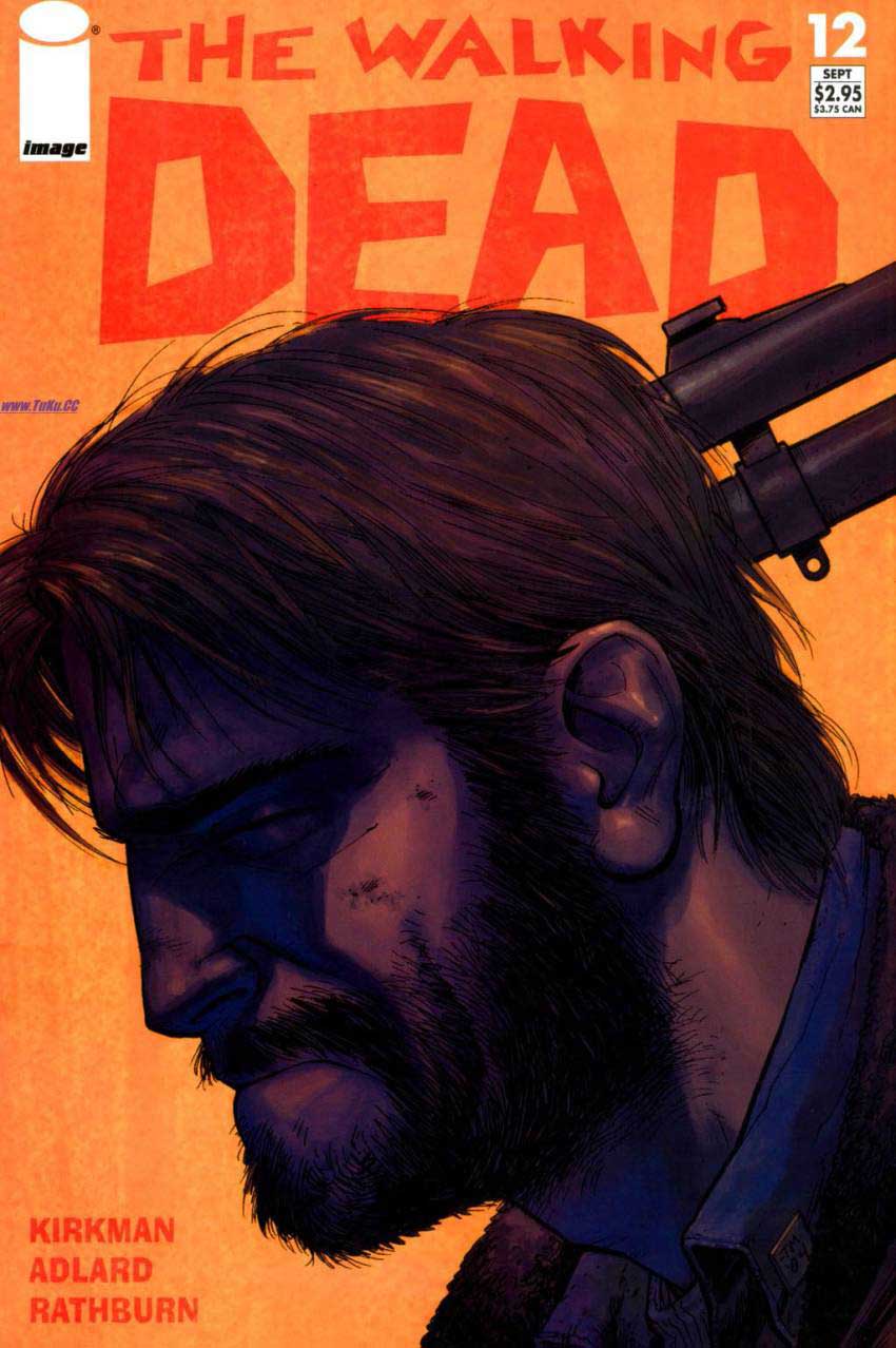 行尸走肉第12卷图
