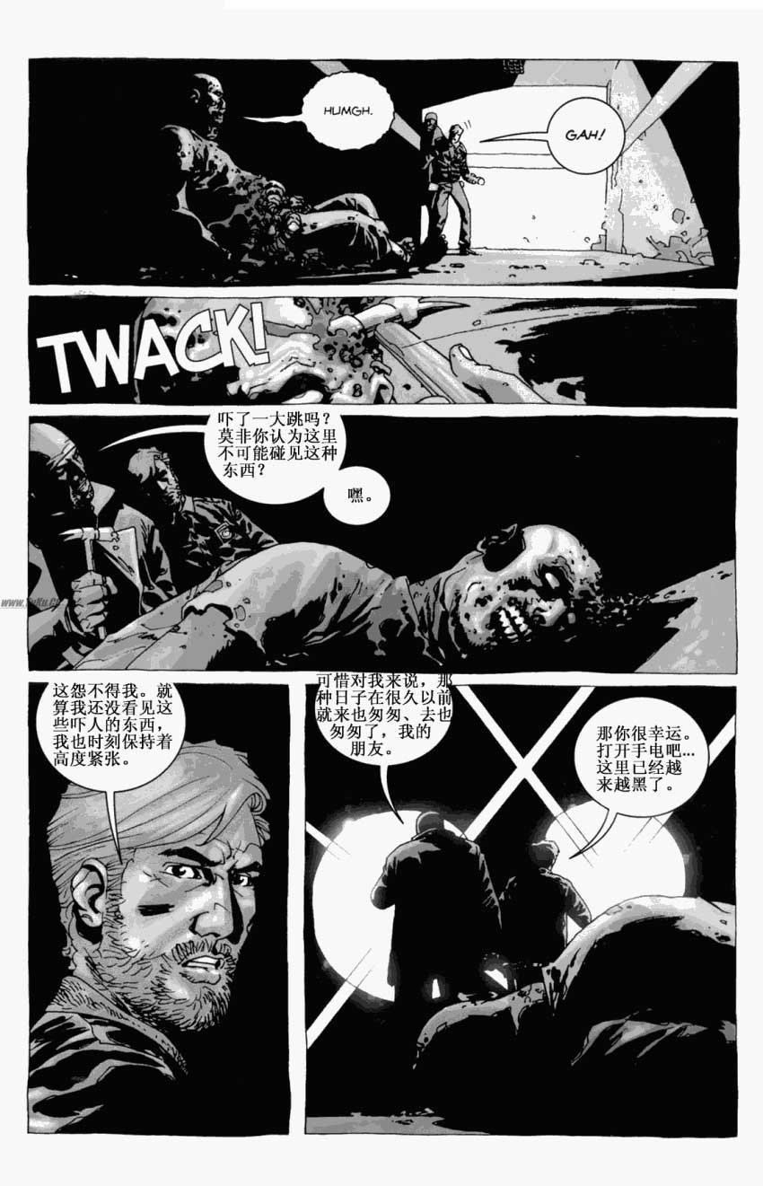 行尸走肉第13卷图