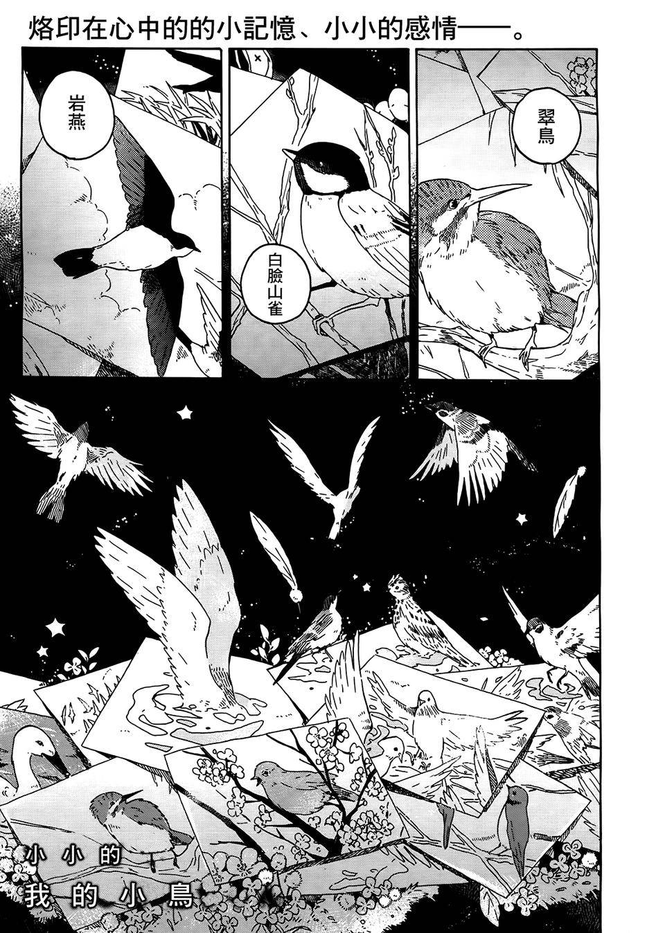 小小的我的小鸟第1话图