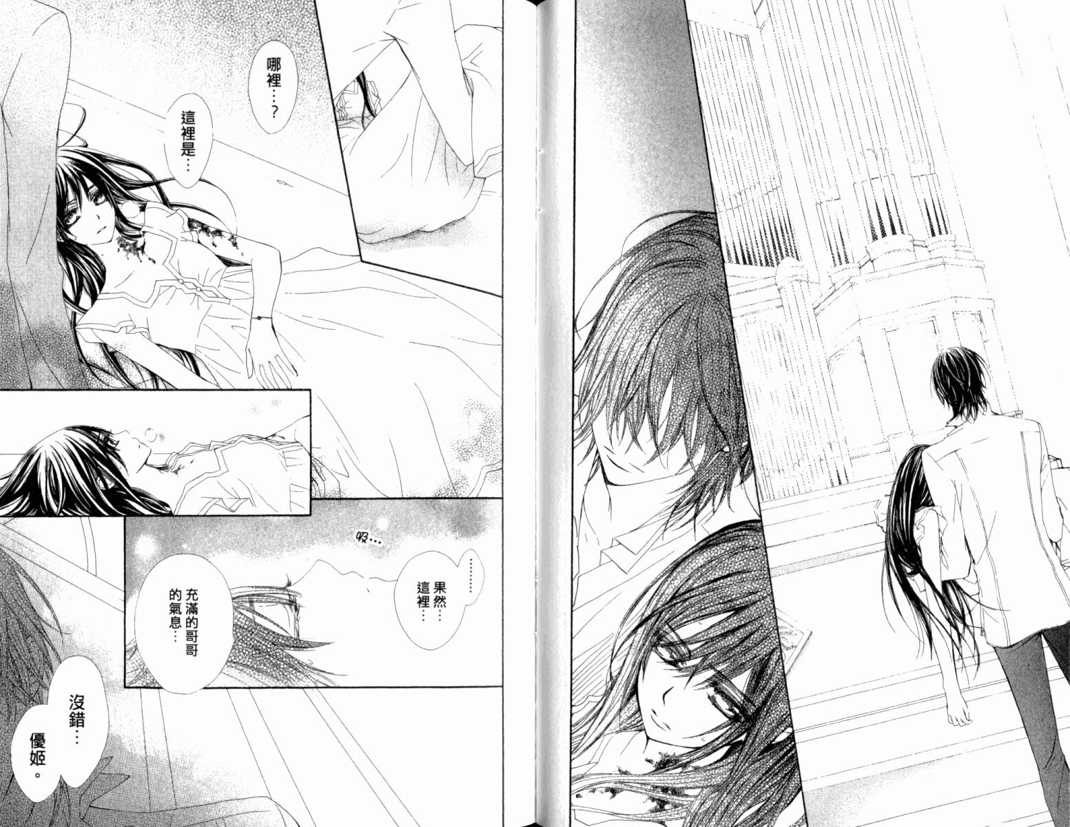 吸血鬼骑士第13卷图