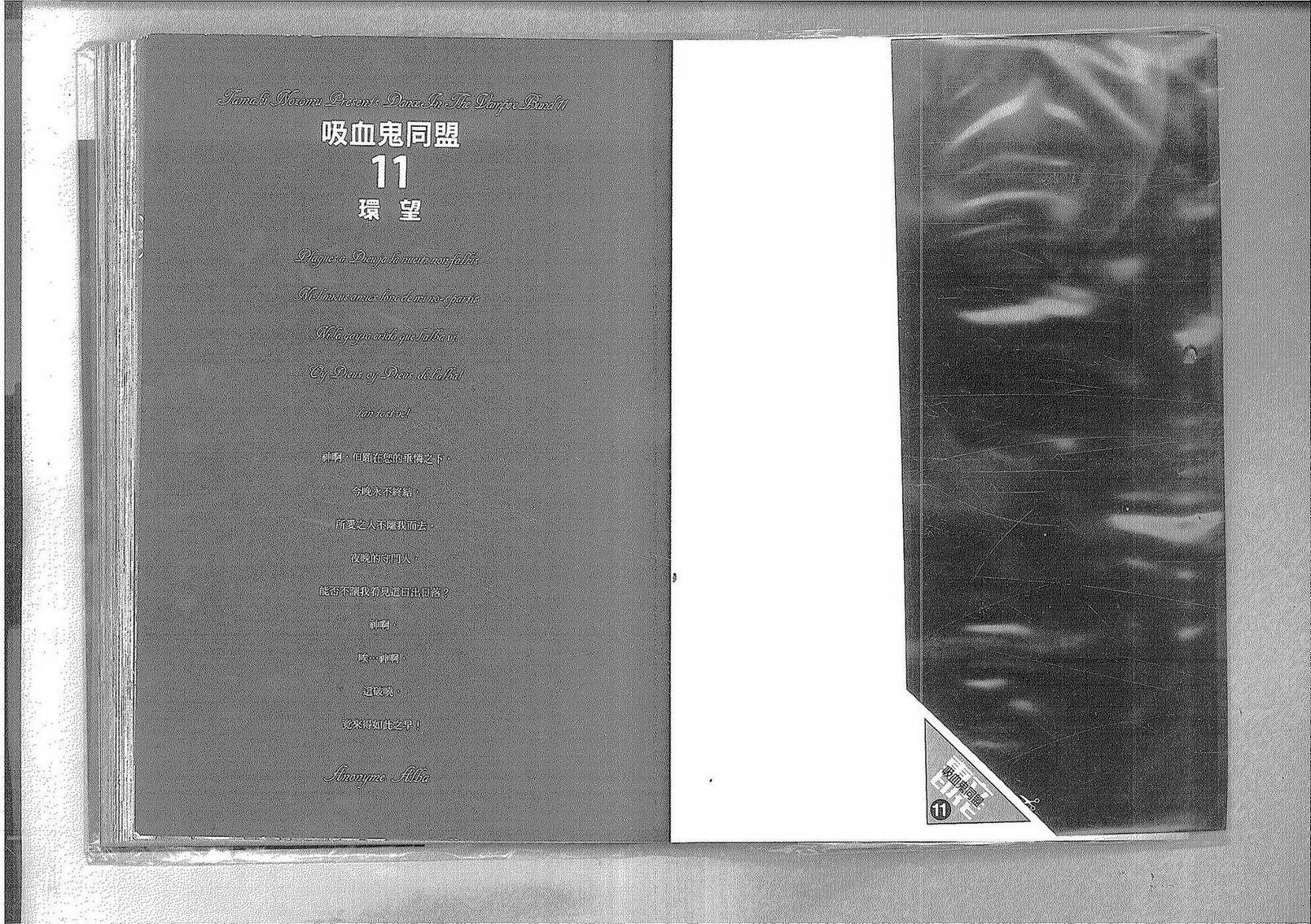 吸血鬼同盟第11卷图