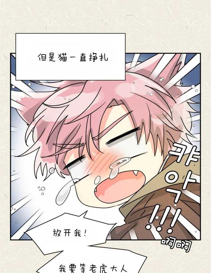 营业部爱神第55话图