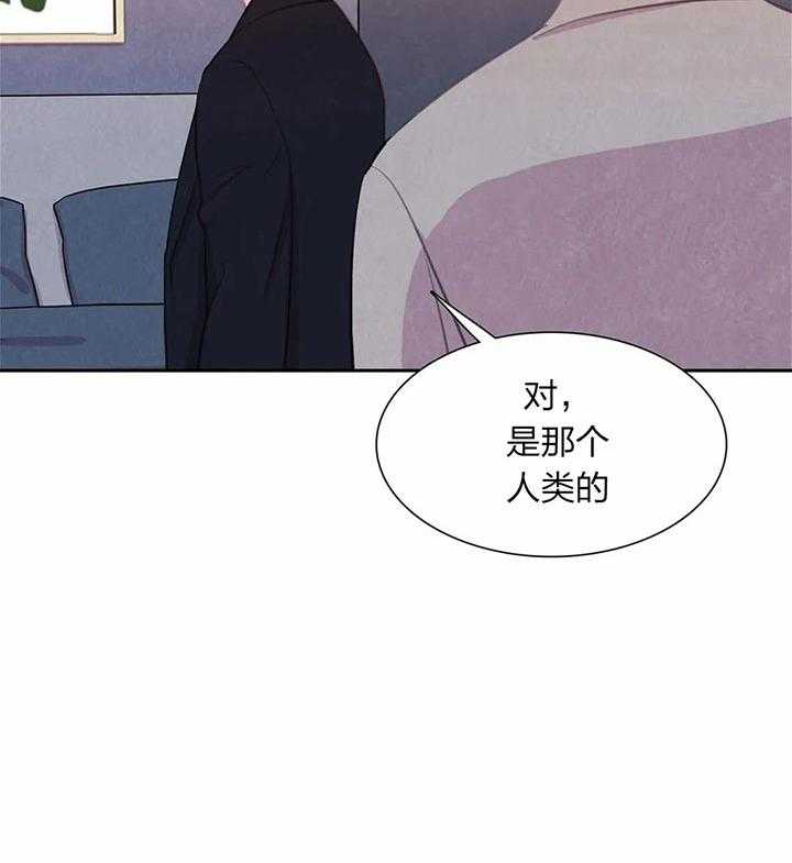 与吸血鬼共餐第29话图
