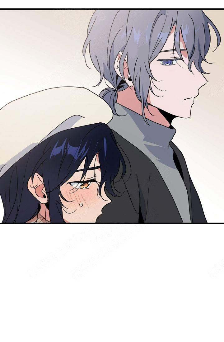 一见倾心第13话图