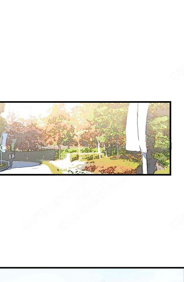 一见倾心第13话图