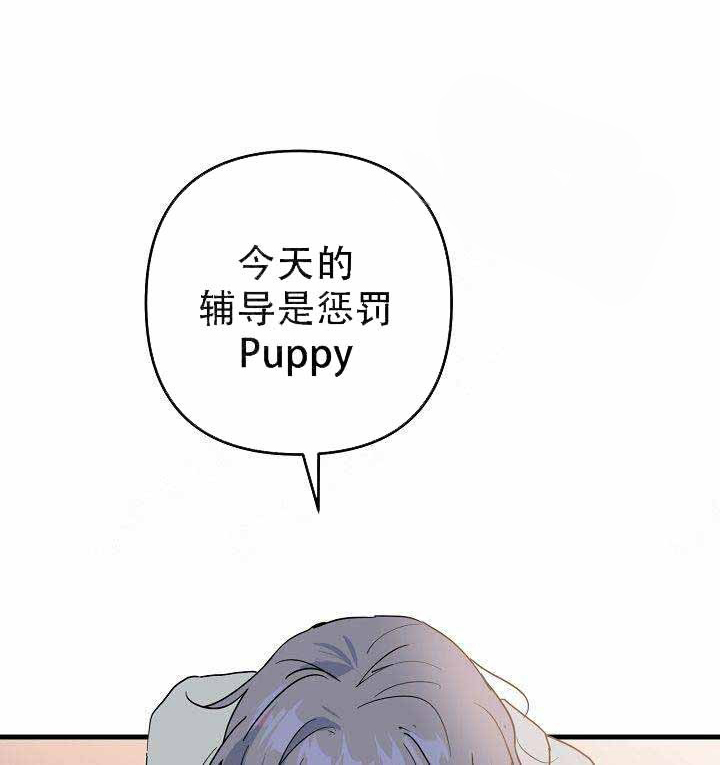 一见倾心第17话图