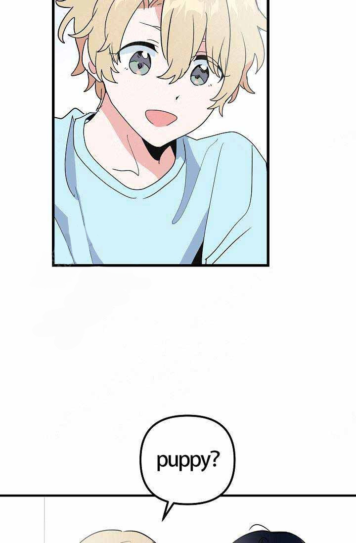 一见倾心第19话图