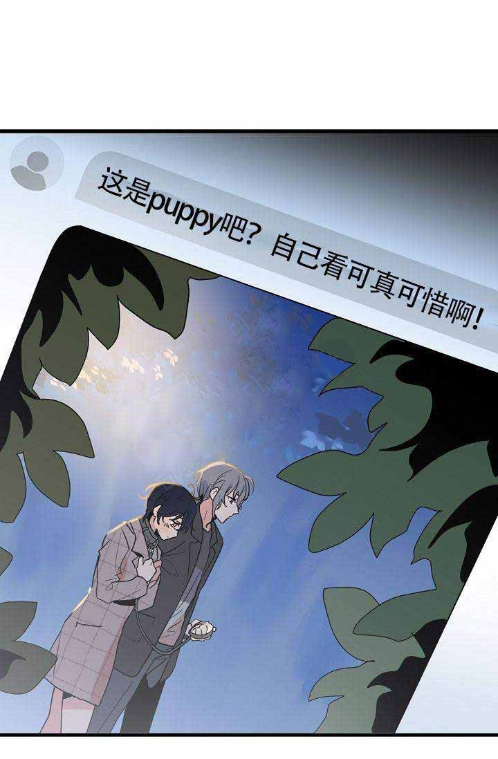 一见倾心第20话图