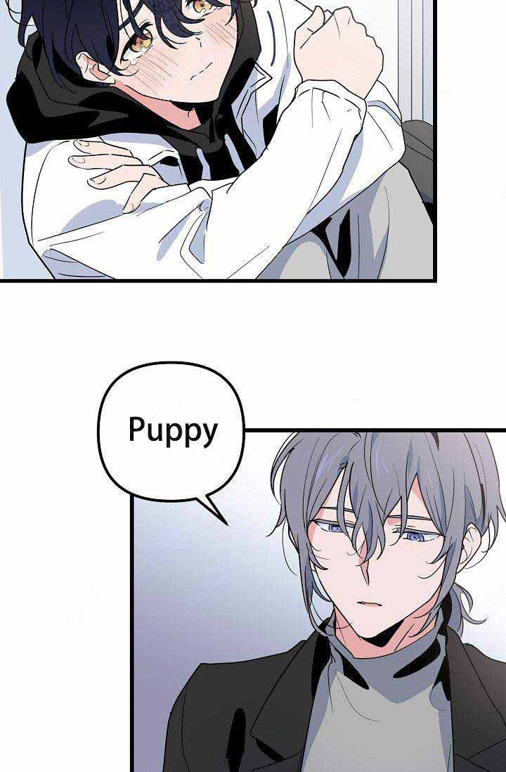 一见倾心第21话图