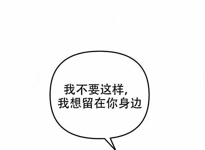 一见倾心第22话图