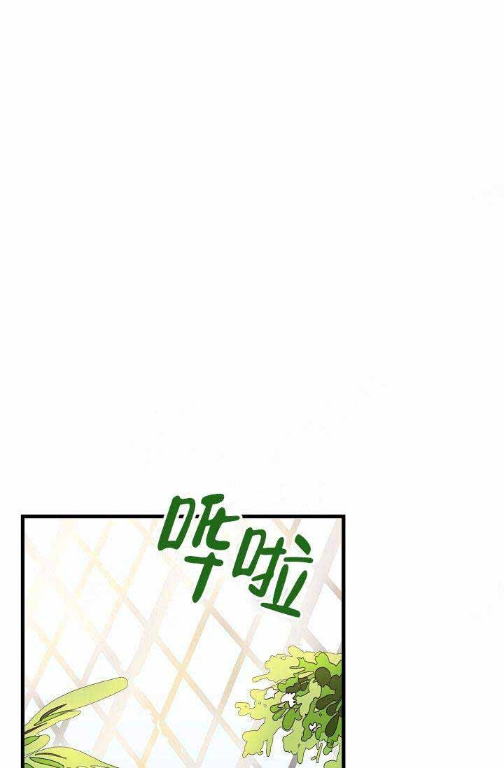 一见倾心第35话图