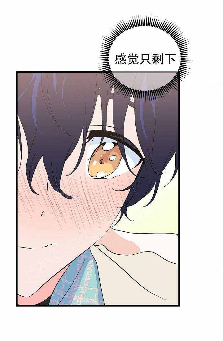 一见倾心第35话图