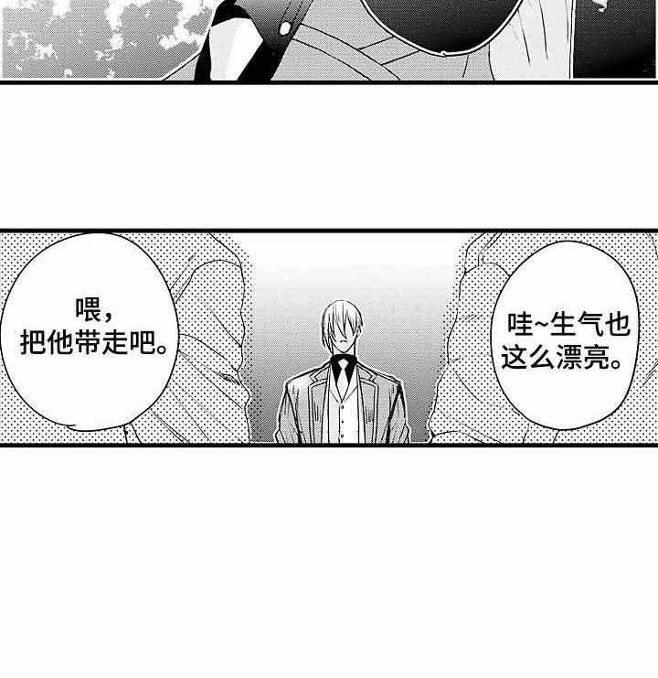 A与A的对决第10话图