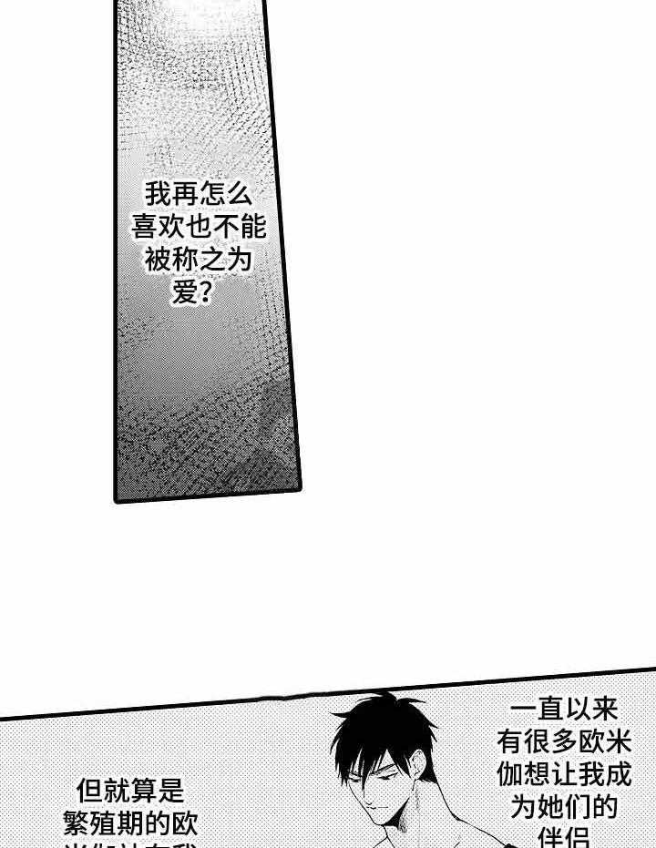 A与A的对决第15话图