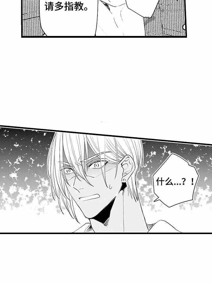 A与A的对决 第8话 第5页