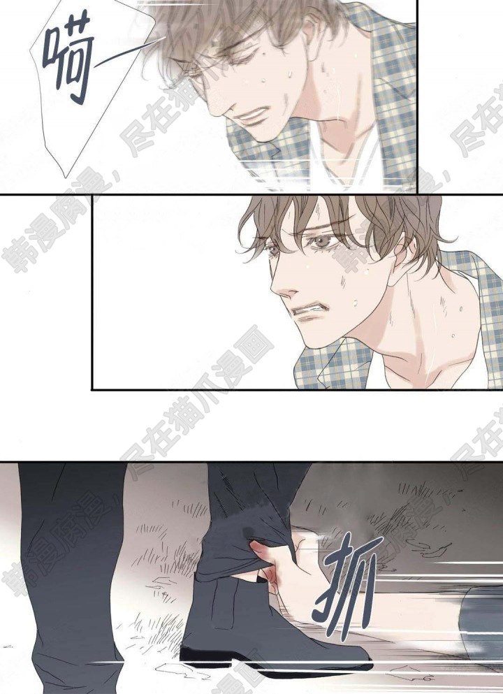 野兽都该死第90话图