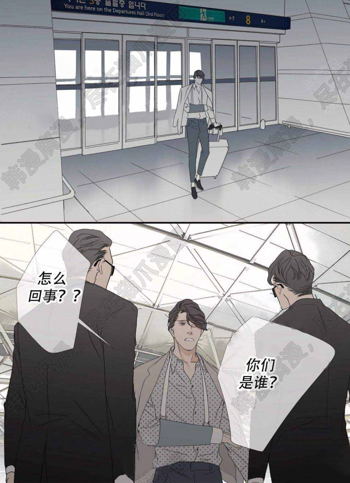 野兽都该死第95话图