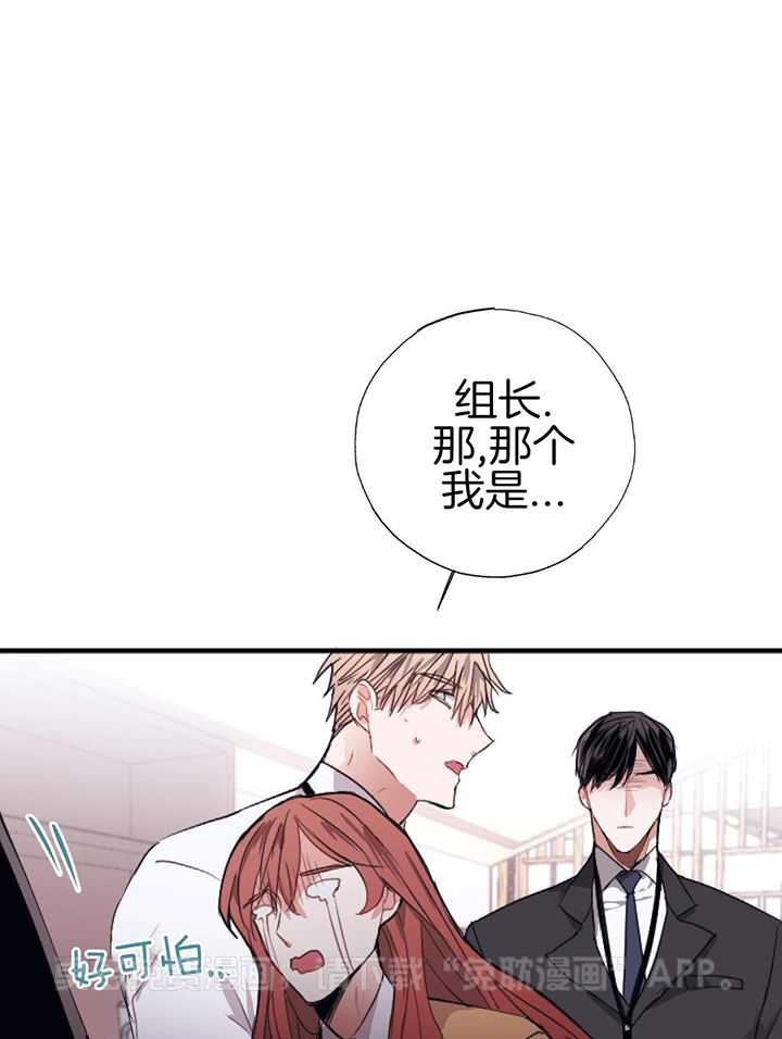 以下犯上第3话图