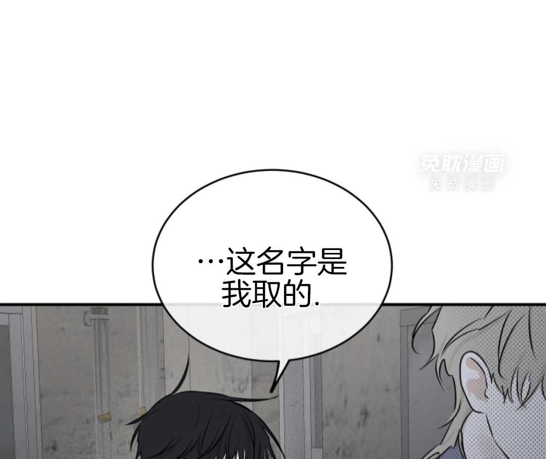 以理服人第114话图